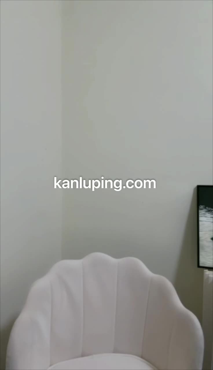 lbb 会议 (2).MP4