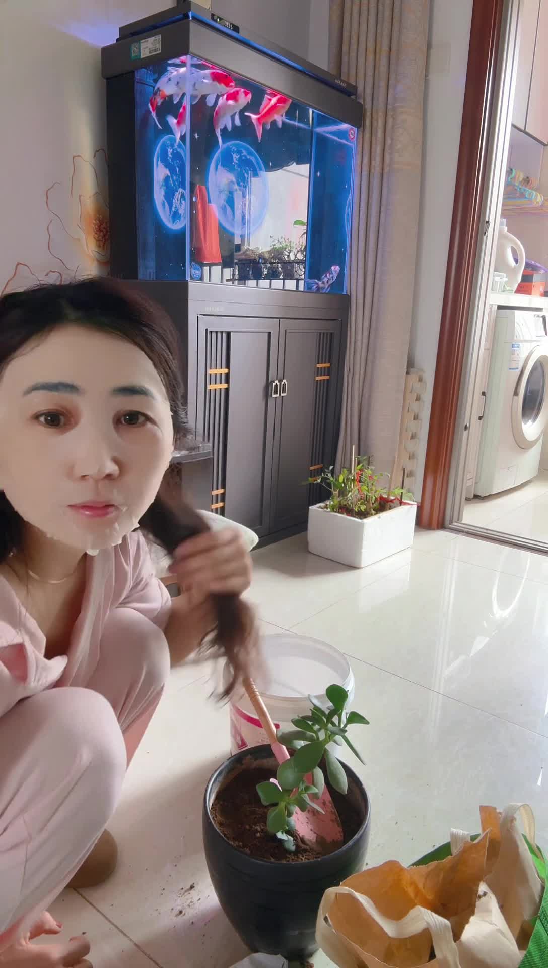喵喵